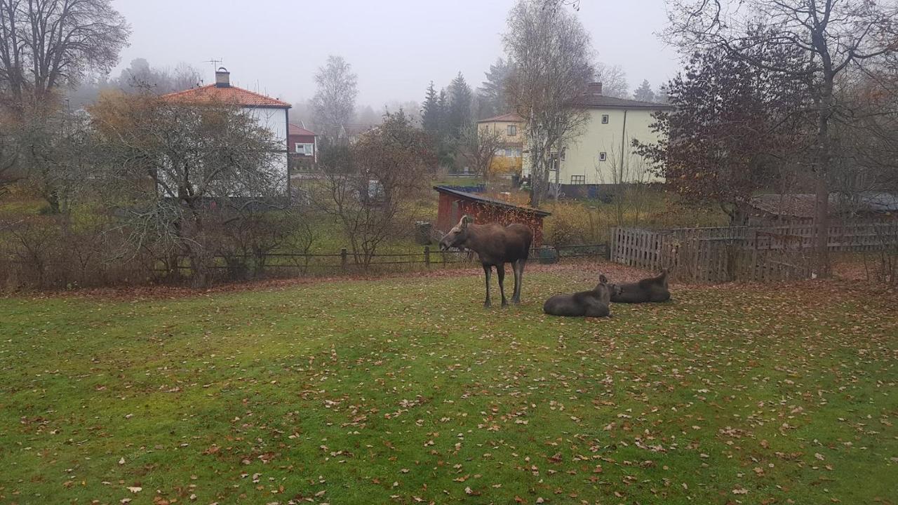 Trevligt Hus Med Egen Gard Och Fri Wifi, Emmaboda Kommun, Lindas Bagian luar foto