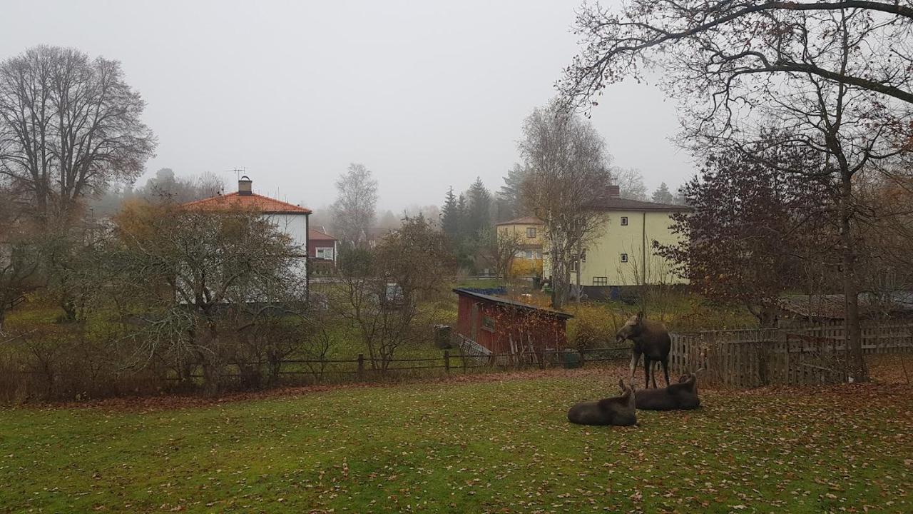 Trevligt Hus Med Egen Gard Och Fri Wifi, Emmaboda Kommun, Lindas Bagian luar foto